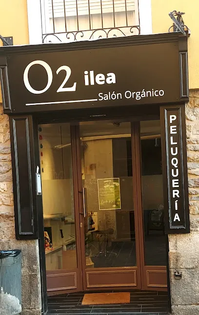 02 ilea peluqueria organica