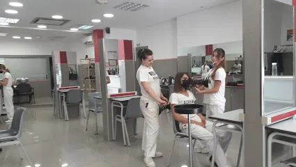 Academia Llongueras