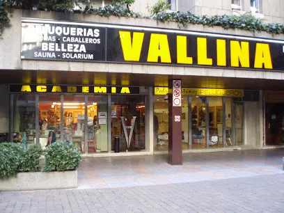 Academias Peluquería y Estetica Vallina