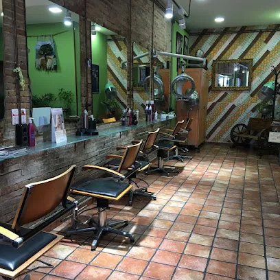 ALCAZAR PELUQUEROS