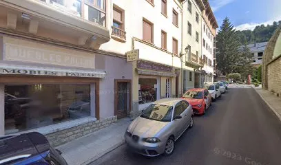 Amparo Pallas Badia