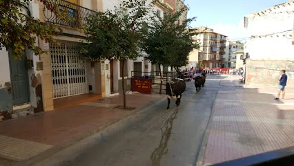 Ana María Torices Berges