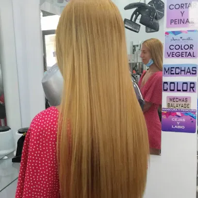 Ana Milla Peluquería