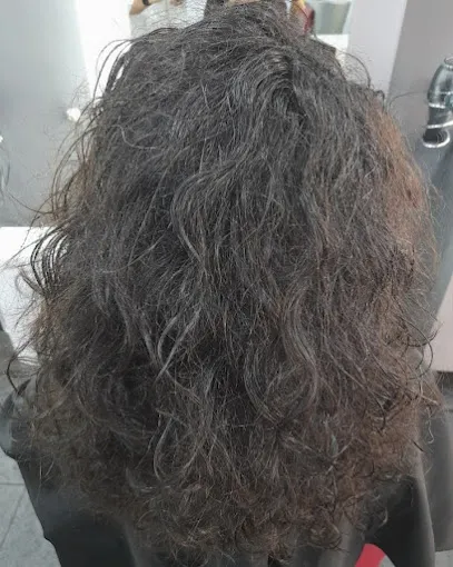 Arte estilismo peluquería