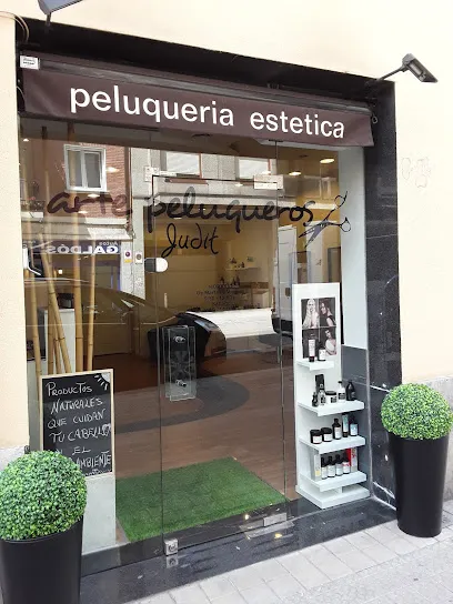 Arte Peluqueros Judit