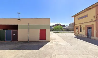 Bea