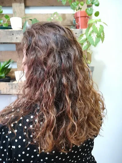 Belen Regueiro Peluquería