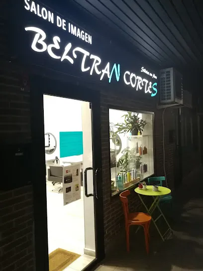 Beltrán Cortés