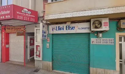 Bisal