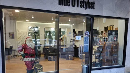 Blue 01 Stylist