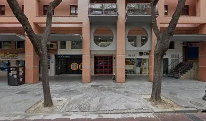 Boccio