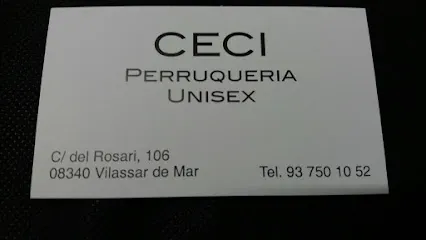 Cecilia Viudes Benítez