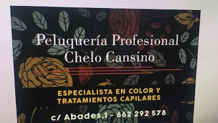 Chelo Cansino Peluquería