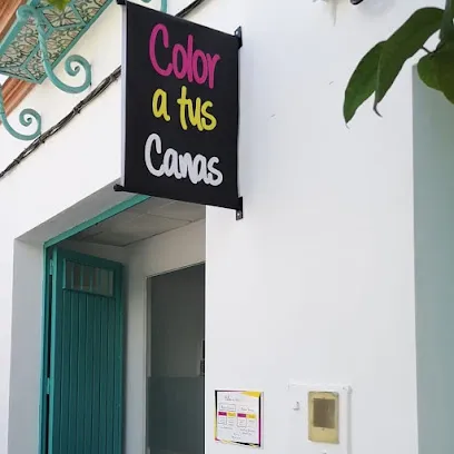 Color a tus Canas
