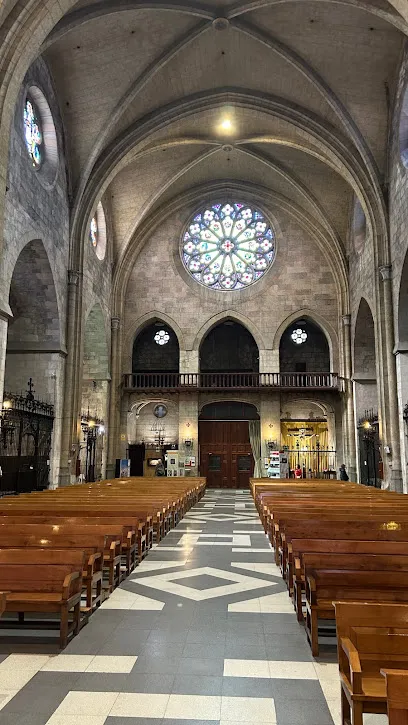 D-Stetic vilafranca