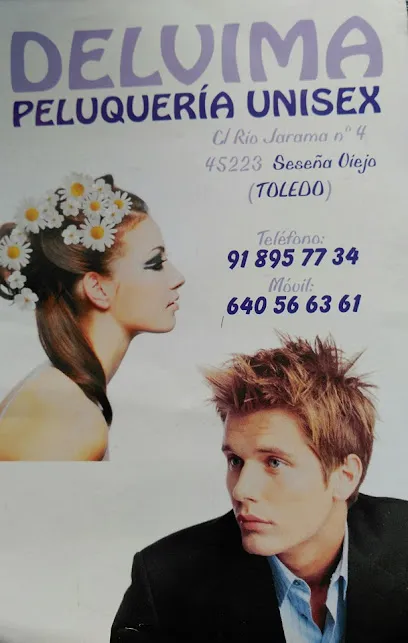 DELVIMA Peluquería Unisex