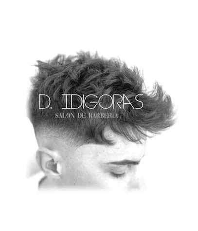 D.IDIGORAS/2