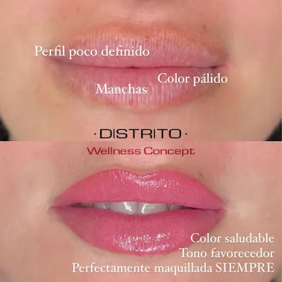 DISTRITO WELLNESS CONCEPT