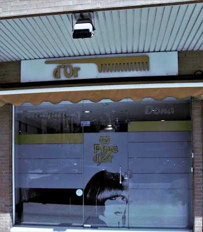 El Pinte d'Or