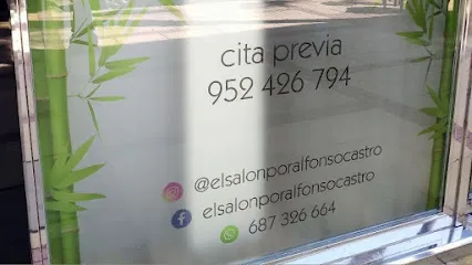 El salón. Alfonso Castro.