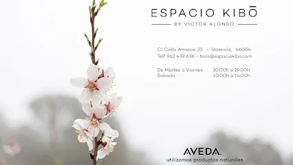 Espacio Kibo by Victor Alonso
