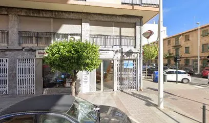 Estética Estela