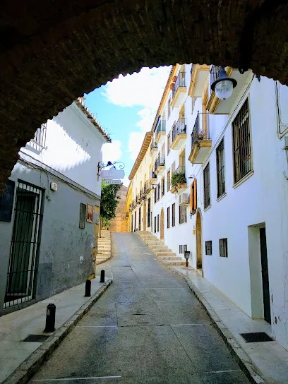 Estética I Salut Xaro Sastre