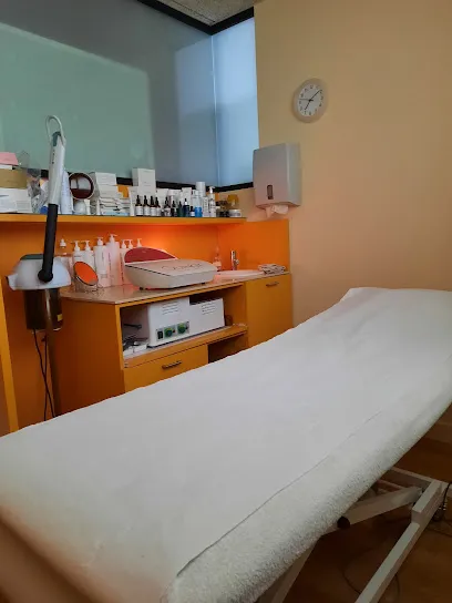 Estética Nou Estil