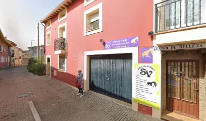 Estética Vega