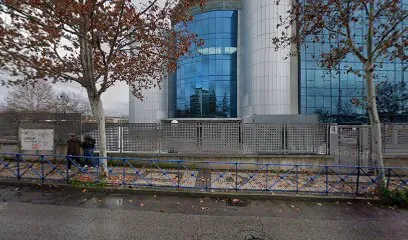 Estética WS