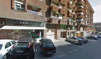 Estética Zen Agua de Roca