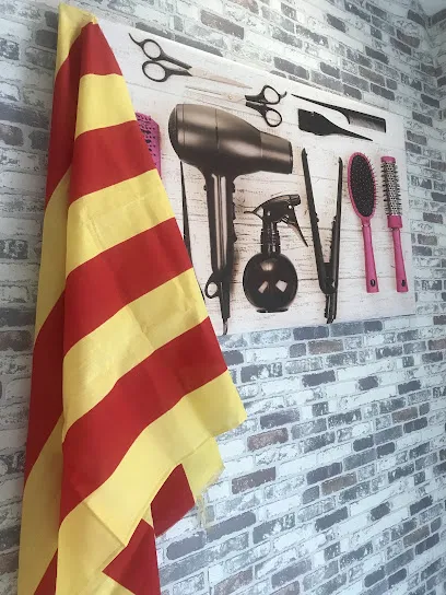 Estils Perruqueria