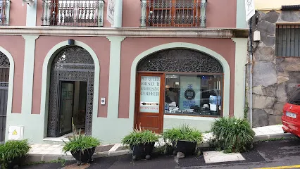 Estudio Estética