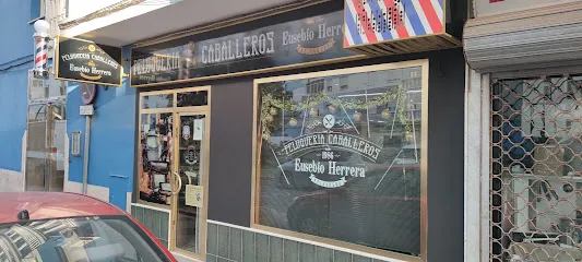 Eusebio Peluqueros