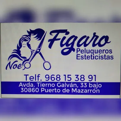 Figaro Peluqueros