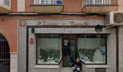 Figura e Imagen