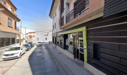 Forma y Linea