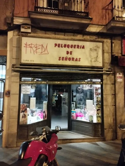 Freda Peluqueria de Señoras- Pilar Camara