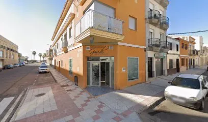 Gaudi Estilisto