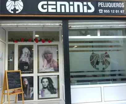 Geminis Peluqueros