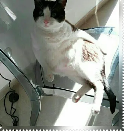 Glamour Peluqueros