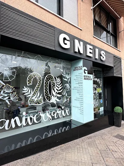 Gneis