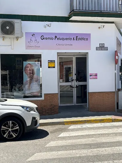 Gremio Peluqueria Gloria Limón