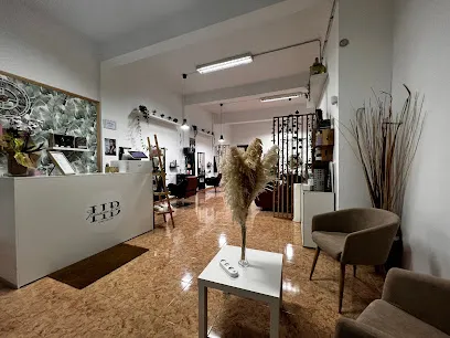 Haridian Brito Hair salón