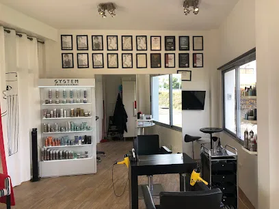 His & Hers Hair by Lauritzen