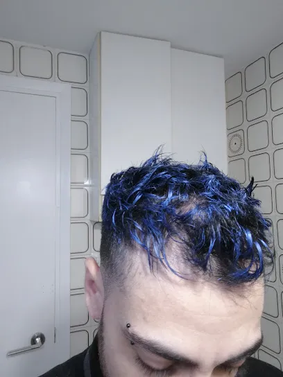 Holoo style
