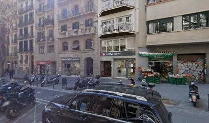 INSTITUT DEL PEU