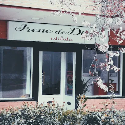 Irene de Diego estilista
