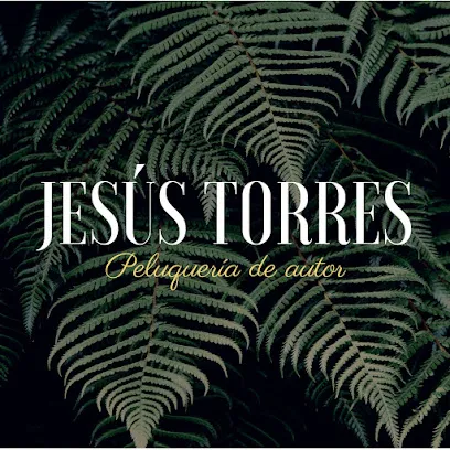 Jesus Torres Peluquería de Autor