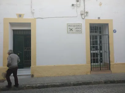 Jesús Vega Santana
